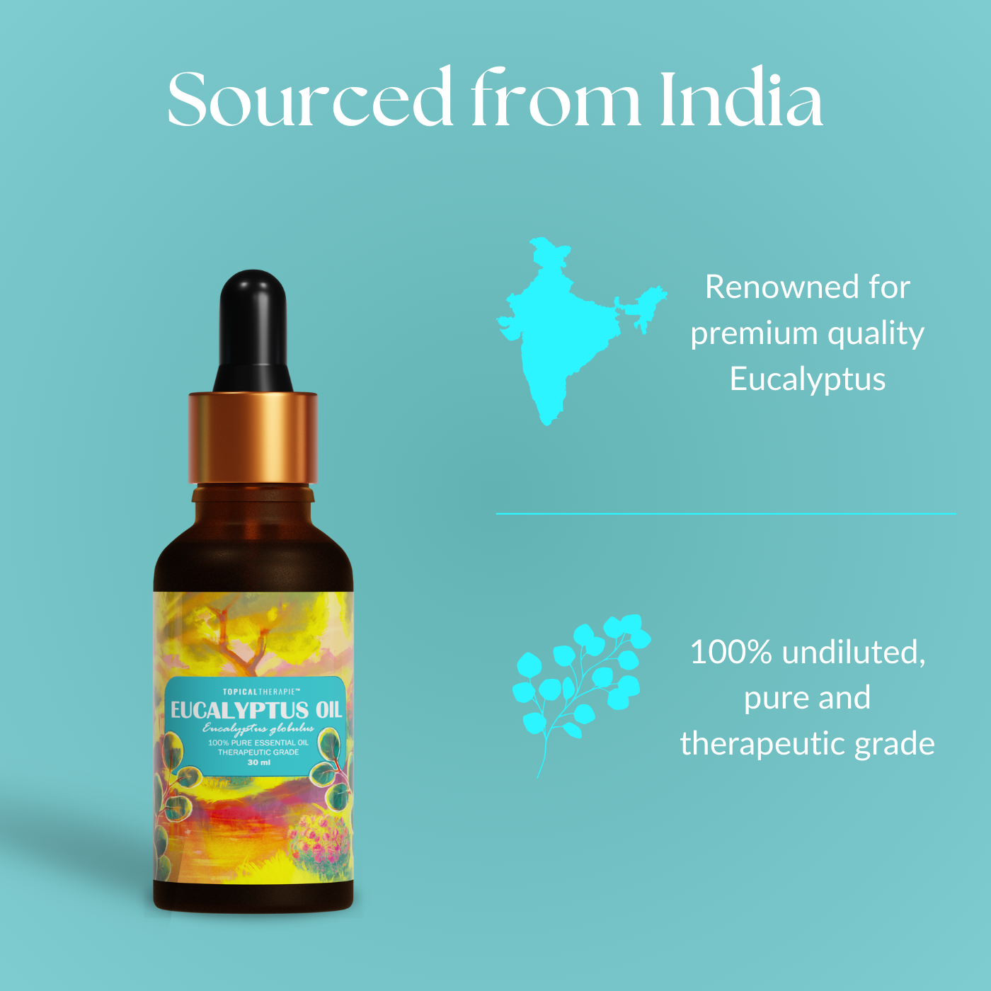 Organic Eucalyptus Essential Oil