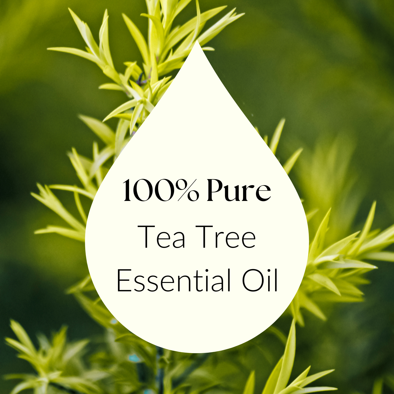 Tea Tree Essential Oil For Skin