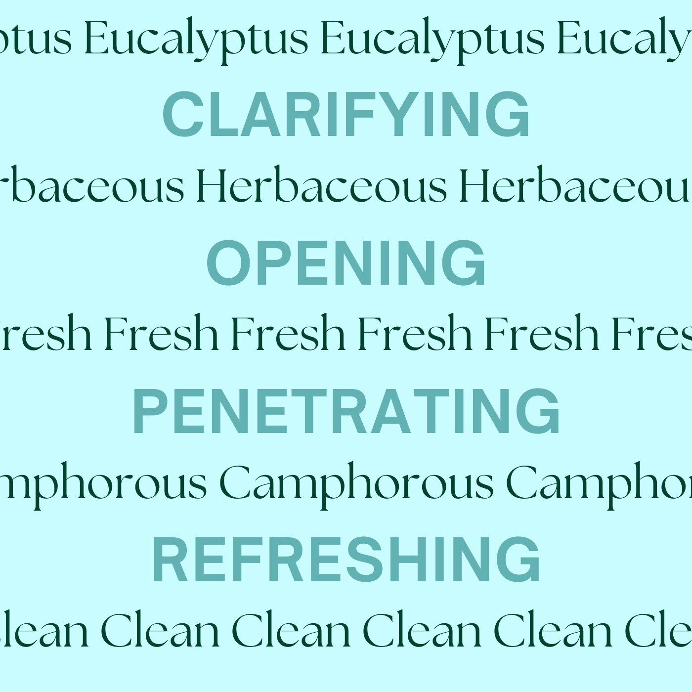 Organic Eucalyptus Essential Oil