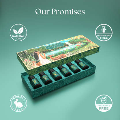 Premium natural skincare gift set perfect for special occasions.