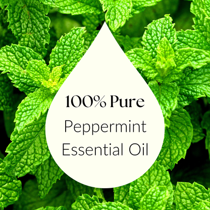 Topical Therapie Peppermint Oil - Back View Displaying Product Information