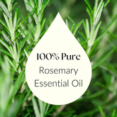 Rosemary oil bottle with a sleek, minimalist aesthetic.