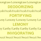 Lemongrass essential oil bottle surrounded by lemongrass stalks for aromatherapy.
