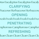 Eucalyptus essential oil for natural respiratory support.