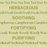 Tea Tree Essential Oil 30ml – Back Label