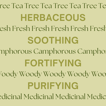 Tea Tree Essential Oil 30ml – Back Label