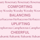 Rosemary essential oil bottle showcased in a vibrant design.