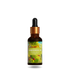 Single lemongrass essential oil bottle with fresh lemongrass stalks.